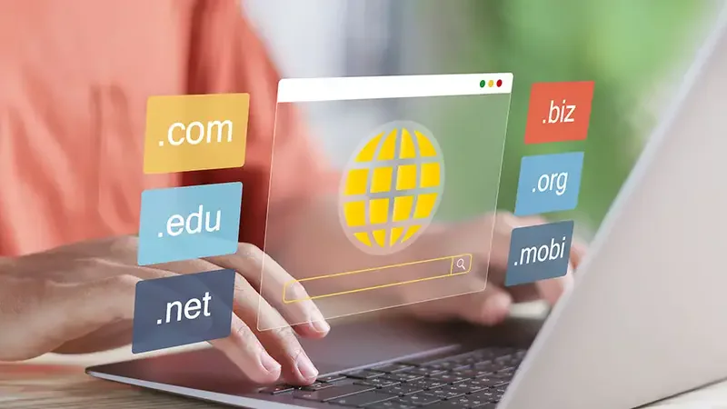 Domain registration service